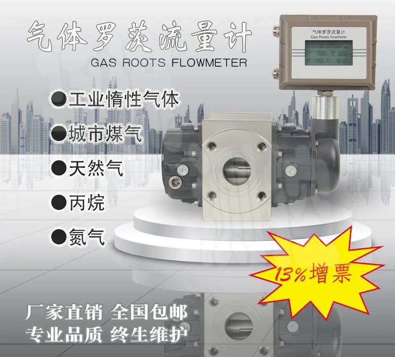 天然氣羅茨流量計產品圖